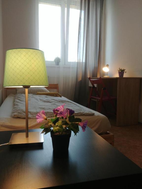 Near Main Railway And Bus Station, Vankovka Apartment