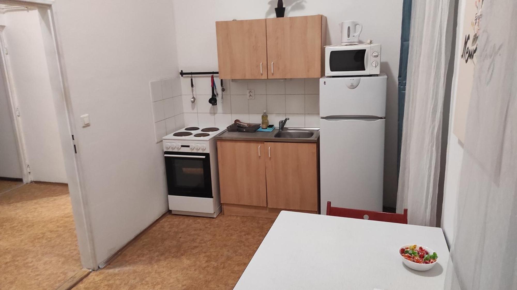 Near Main Railway And Bus Station, Vankovka Apartment *