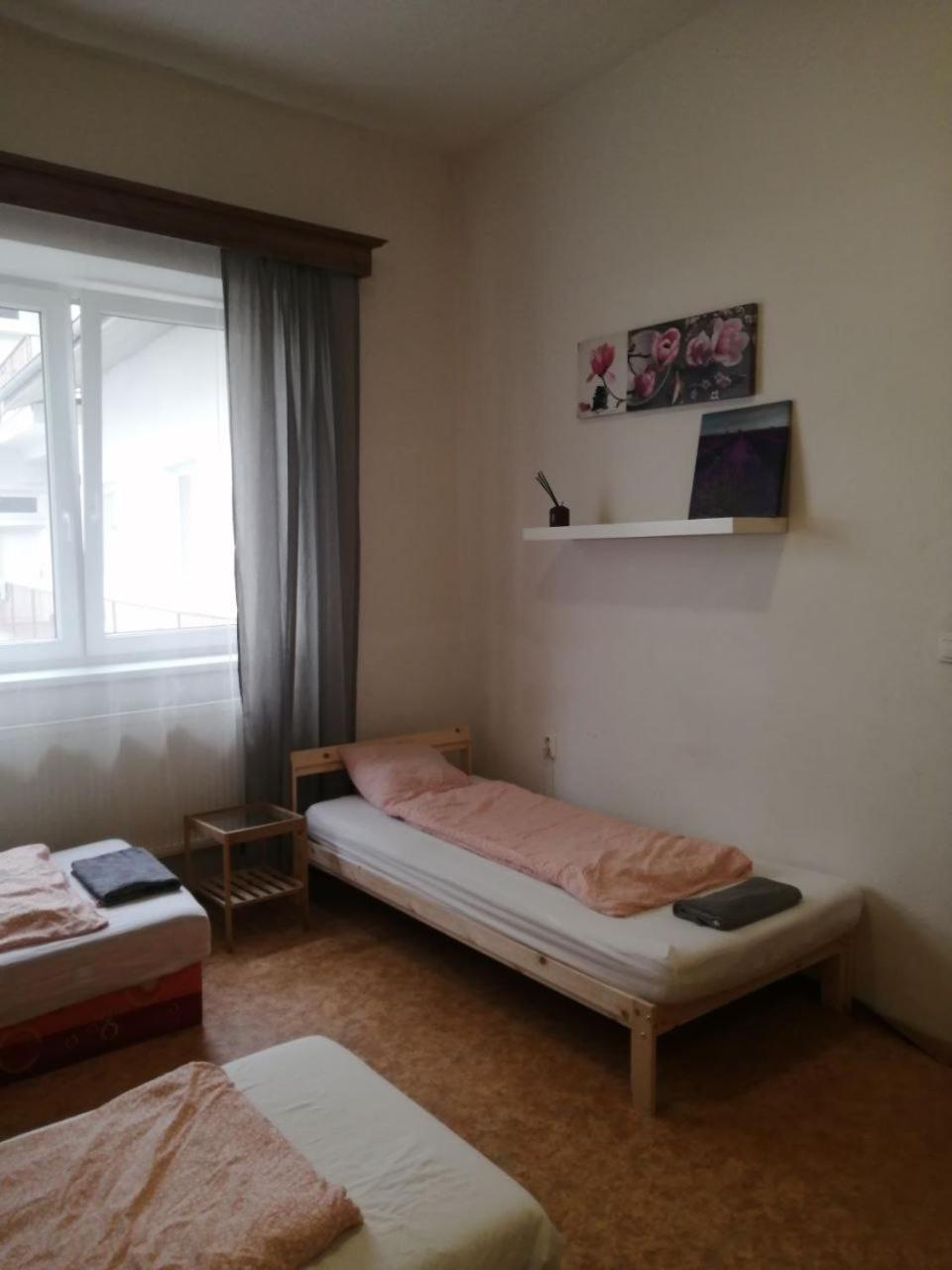Near Main Railway And Bus Station, Vankovka Apartamento *