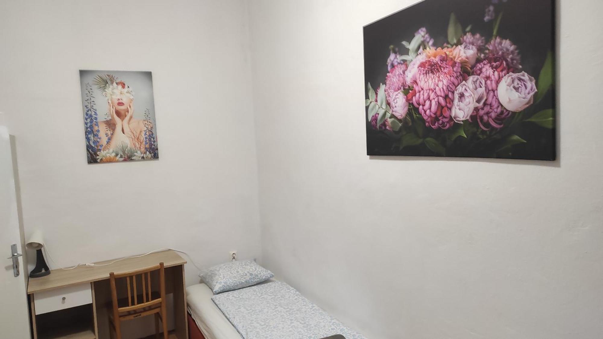 Apartamento Near Main Railway And Bus Station, Vankovka *